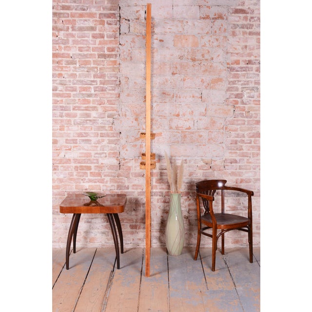 Mid-Century Room Divider by Zadrev for ÚLUV Morkovice, Czech, 1960s For Sale - Image 4 of 16