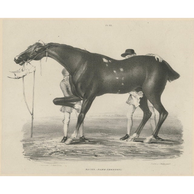 After Chalon, Racehorse Training Scene, Lithograph, 1840 For Sale - Image 9 of 9