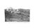 "American Estates and Gardens" 1906 Ferree, Barr For Sale - Image 12 of 12