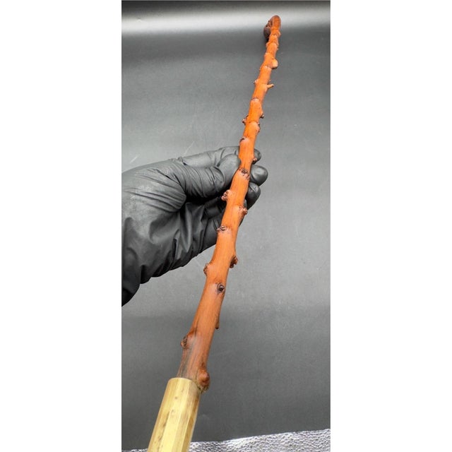 Wood Antique Irish Blackthorn Burled Wood Shillelagh For Sale - Image 7 of 15