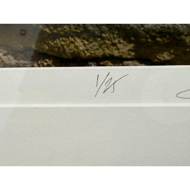 Circa 2007 Ravi Anand "Green Bench, Guanajuato Mexico" Photograph, Numbered + Framed For Sale - Image 9 of 12