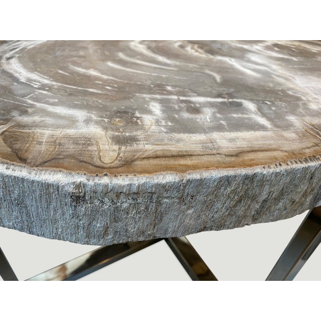 Andrianna Shamaris High Quality Petrified Wood Slab Top Side Table For Sale - Image 13 of 18