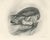 Antique Merlin Falcon with Prey Print by Lilian M. Medland, 1908 For Sale - Image 3 of 10