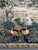 20th Century Decorative Exotic Birds Tapestry, in Good conditions. Designed before 1890