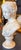 1960s Large Cast Plaster Bust of Young Lady For Sale - Image 4 of 7