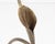 Late 20th Century Hand-Forged Calla Lily Candle Holder by Jack Brubaker For Sale - Image 5 of 7