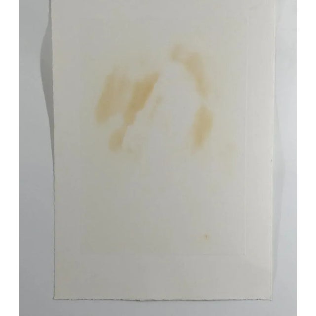 Bernd Baldus, The Pro, Aquatint Etching, 1990s For Sale - Image 4 of 5