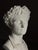Plaster Bust of Emperor Augustus For Sale - Image 6 of 18