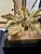 Vintage Lamp in Bronze and Brass, 1970s For Sale - Image 13 of 15