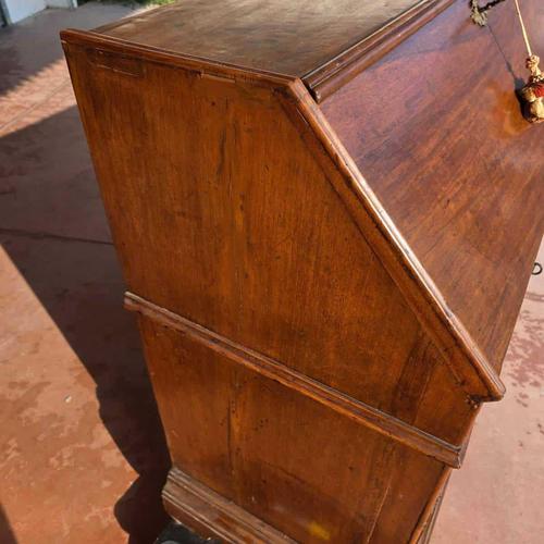 Antique Walnut Secretaire with Rocaille Bronze and Internal Compartment For Sale - Image 14 of 18
