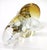 1990s Amber Crystal Elephant Paper Weight For Sale - Image 4 of 8