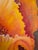 Oil Painting - Floral For Sale - Image 10 of 14