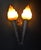 Victorian Gothic Twin Torchère Wall Light with Opaline Flame Shades, 1850s For Sale - Image 17 of 18