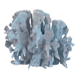 Natural Blue Coral Specimen Coastal Decor For Sale