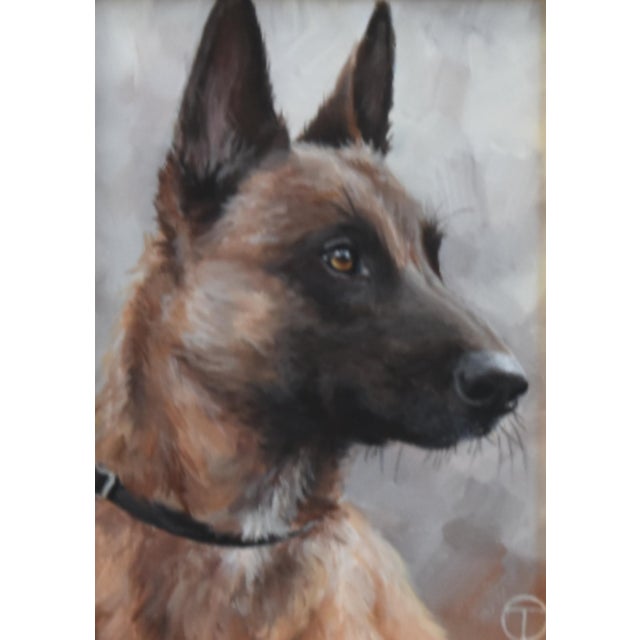 Realism Belgian Shepherd Portrait Painting Including the Antiqued Gold Wood Frame For Sale - Image 3 of 5