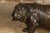 Bronze Vintage American Art Life-Size Bronze Bulldog Sculpture For Sale - Image 8 of 10