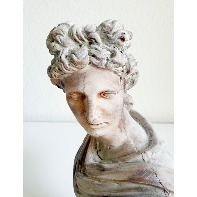 Early 21st Century Classical Bust of Apollo Belvedere, Early 21st Century For Sale - Image 5 of 12