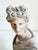 Early 21st Century Classical Bust of Apollo Belvedere, Early 21st Century For Sale - Image 5 of 12