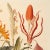 2020s 13" X 9" 'Garden Flowers' Botanical Print, 'Hortus Floridus' Style, Unframed For Sale - Image 5 of 7