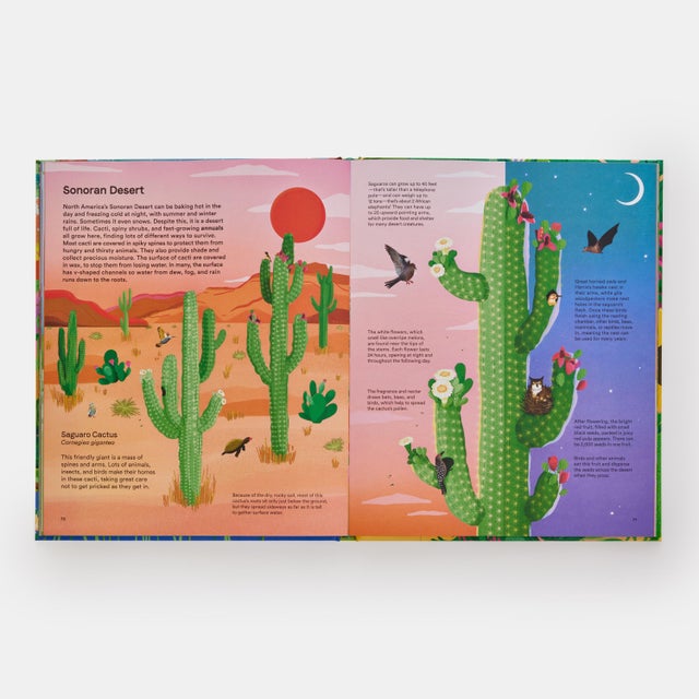 A Home for Every Plant: Wonders of the Botanical World For Sale - Image 9 of 10