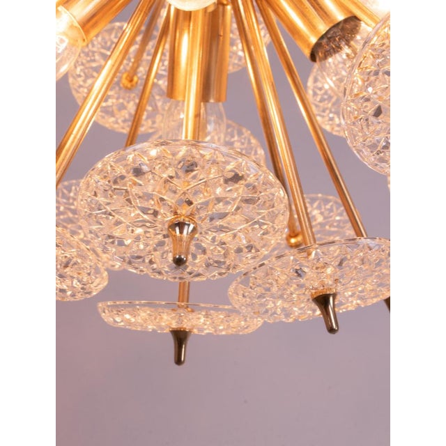 Mid-Century Modernist Floral Sputnik Chandelier in Brass and Crystal from Val Saint Lambert, 1960s For Sale - Image 9 of 11