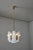 Lipizza Hangin Light attributed to j.t. Kalmar Austria, 1960s For Sale - Image 10 of 13