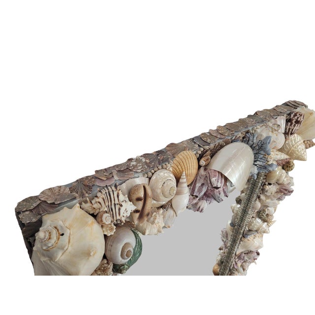 Large Artisan One-of-a-Kind Coastal Shell Mirror For Sale - Image 4 of 15