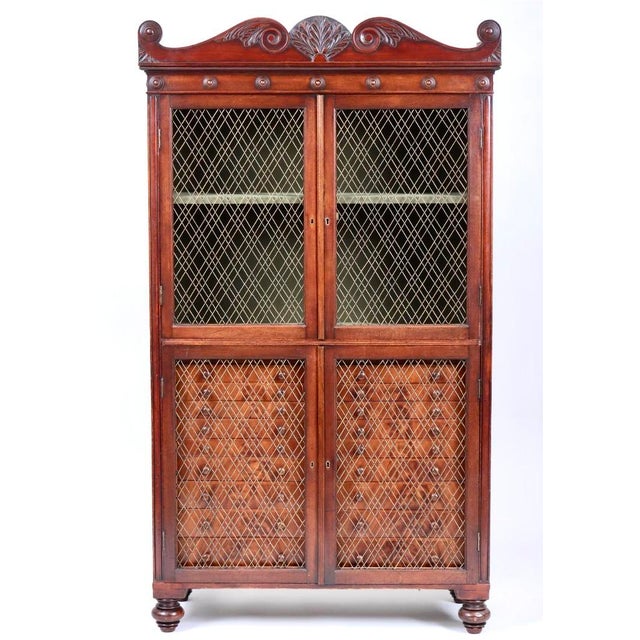 Wood 19th Century Regency Mahogany Collector's Display Cabinet For Sale - Image 7 of 7