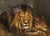 Lions is an oil painting realized by an unknown artist. Oil on canvas, signed lower right ''Lync\.'' (last letter...