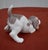Brown Lladro 1070 Playful Puppy Beagle Porcelain Figurine Glossy Retired Rare For Sale - Image 8 of 15