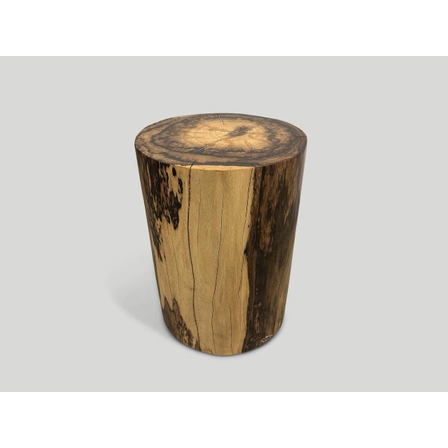 2010s Andrianna Shamaris Exquisite Rosewood Side Table or Stool For Sale - Image 5 of 5