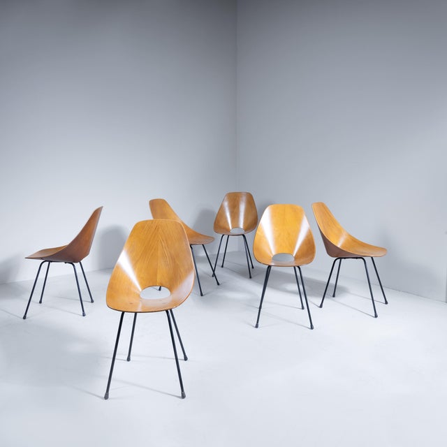 Medea Chairs by Vittorio Nobili, Set of 6 For Sale - Image 12 of 12