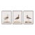 Wandering Birds Study, Set Of 3 For Sale