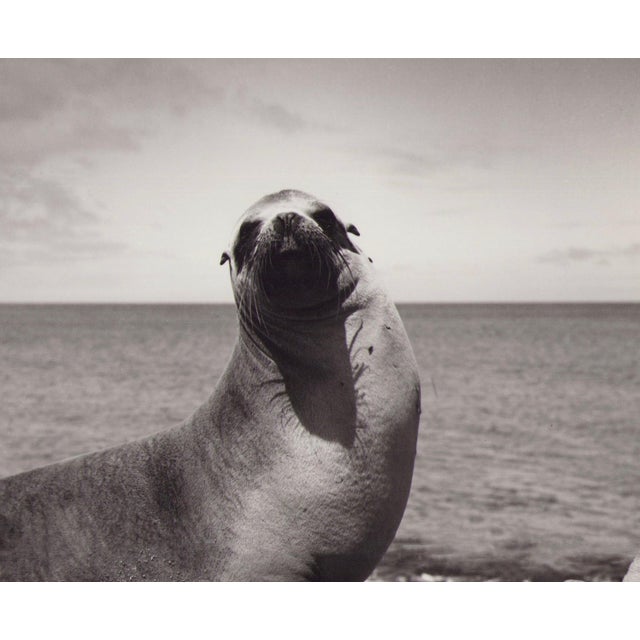 Hanna Seidel (1925 to 2005) lived and worked in Argentina for many years. She was a world traveller, journeying to South...