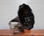 20th Century Horn Gramophone For Sale - Image 14 of 14