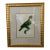 Palm Beach Green Parakeet Book Print Reproduction For Sale