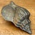 This vintage sculptural object is cast in solid brass, faithfully capturing the organic form and textured detail of a...