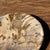 Small Trinket Dish in Beige Petrified Wood with Black Spots For Sale - Image 6 of 9