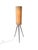 Mid-Century Modern Mid-Century Modern Teak Tripod Floor Lamp with Reupholstered Shade, 1960s For Sale - Image 3 of 12