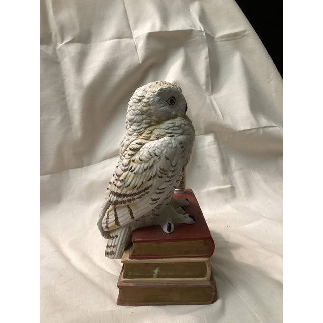 1970s Old Ezra White Owl Liquor Decanter on Bookstack For Sale - Image 4 of 6