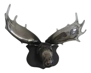 Contemporary Glass Mounted Moose Head by Esque Aspen