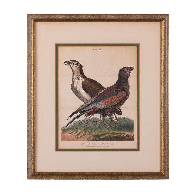 John Pass After Reinhold Eagle Engravings, c.1805 For Sale - Image 4 of 6