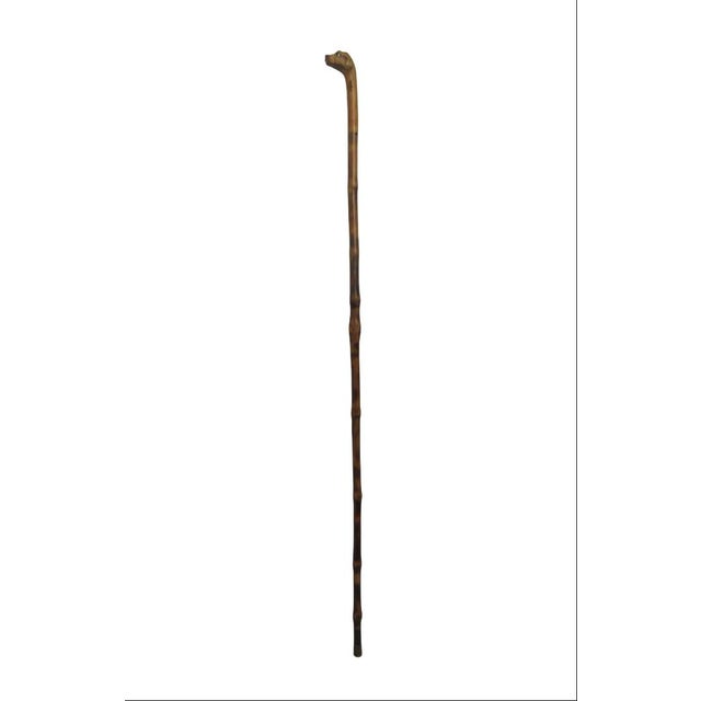 Antique Dog Head With Beady Eyes Hand Carved Folk Art Walking Stick Cane For Sale - Image 9 of 9