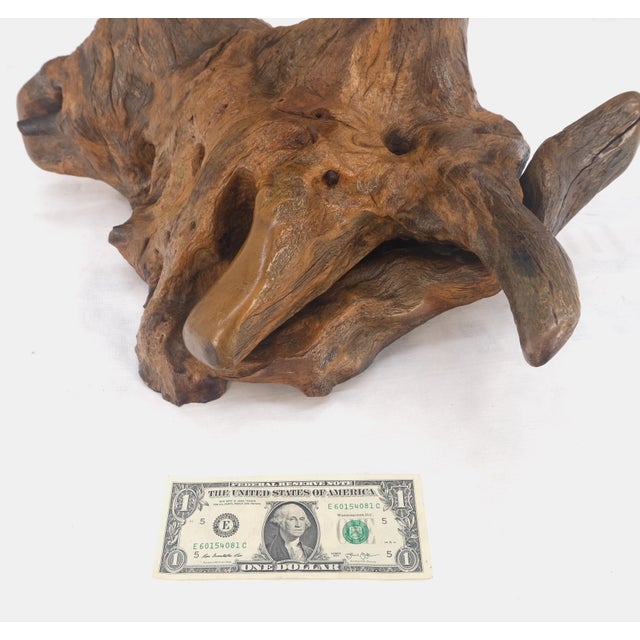 Large 25" Tall Artist Signed Driftwood Root Burl Wood Natural Sculpture NICE! For Sale - Image 6 of 14