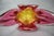 Glass Mid-Century Pink and Amber Art Glass Vase by Josef Hospodka, 1960s For Sale - Image 7 of 8