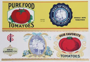 1978 Barbara Cesery Tomatoes Print
