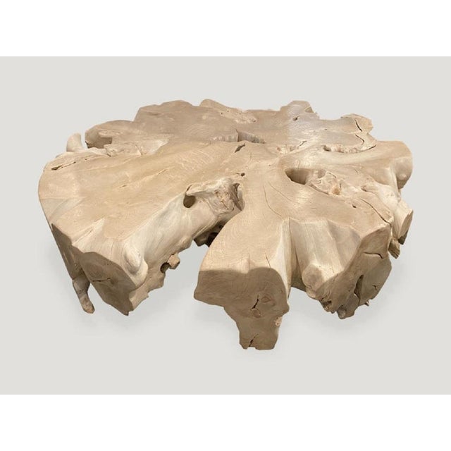 Andrianna Shamaris Round Bleached Teak Wood Organic Coffee Table For Sale - Image 13 of 18