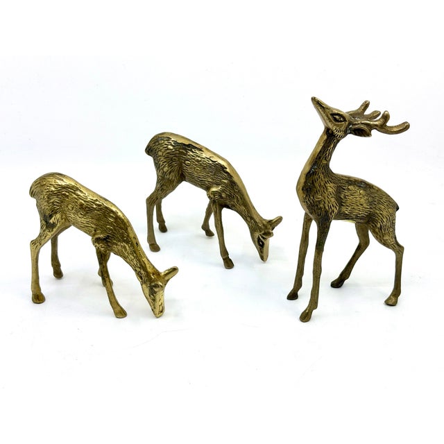 Vintage set of 3 brass deer statues. Male deer with antler and 2 females. Great for shelf decor or table top. Solid brass...