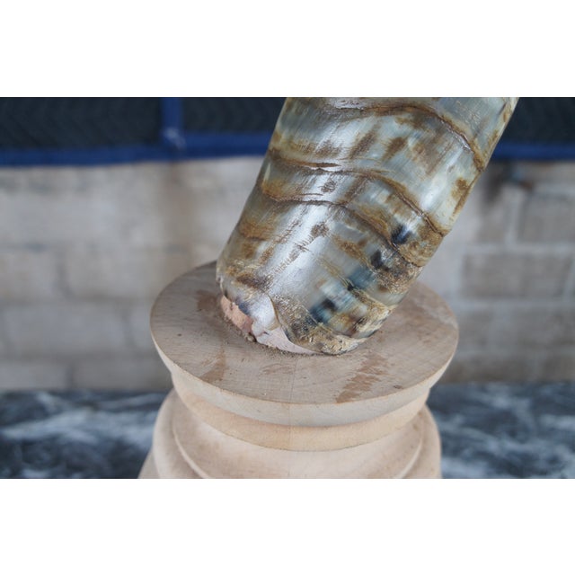 Mid 20th Century African Kudu Antler Horn on Wooden Stand For Sale - Image 9 of 10