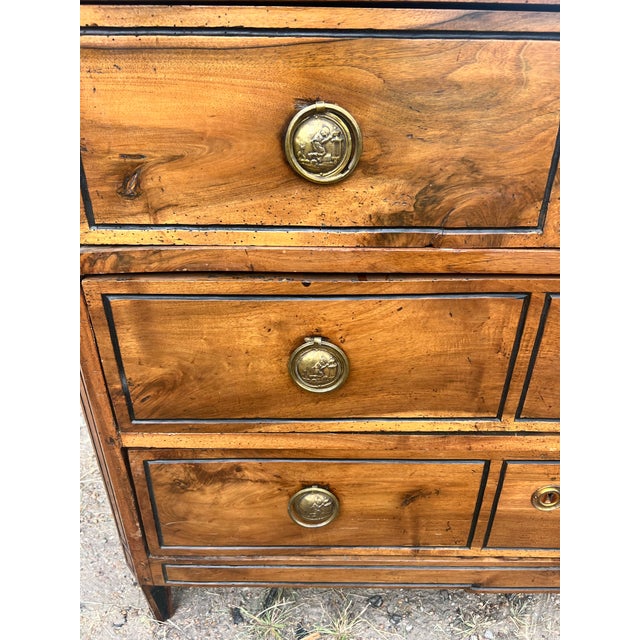 Sienna French 19th Century Louis XVI Solid Walnut Chest of Drawers For Sale - Image 8 of 9